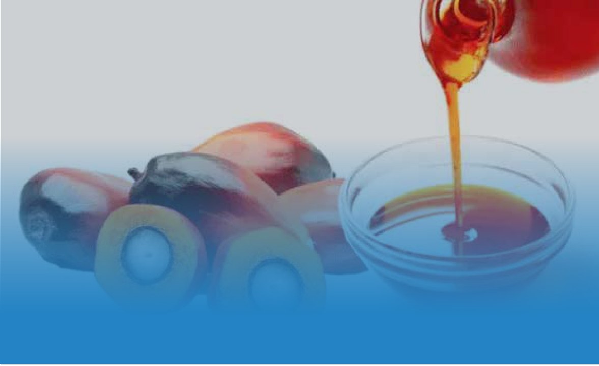 Palm oil