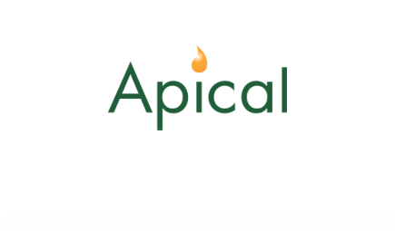 Apical
