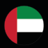 UAE flag